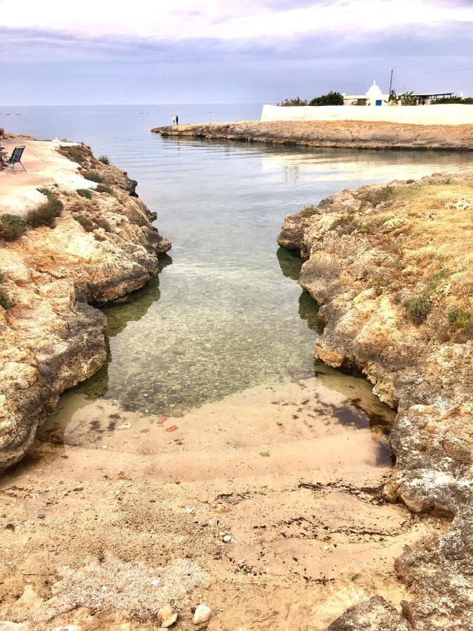 Almarea Blu - Appartamento In Villa Vicino Al Mare - Affitto Breve Polignano a Mare Zewnętrze zdjęcie